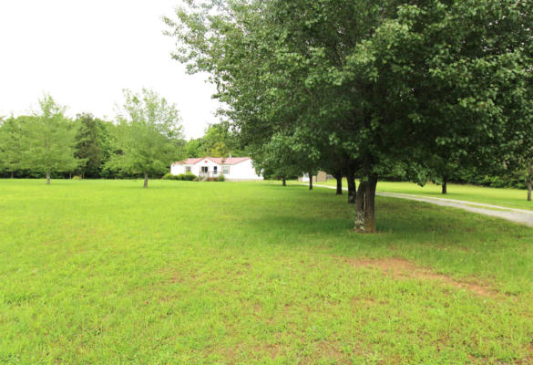 85 TRANQUILITY LN, ENVILLE, TN 38332 - Image 1