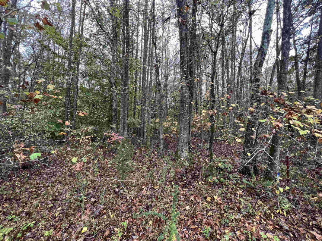 0 EXCALIBUR TRAIL (LOT 261), CEDAR GROVE, TN 38321, photo 1 of 11