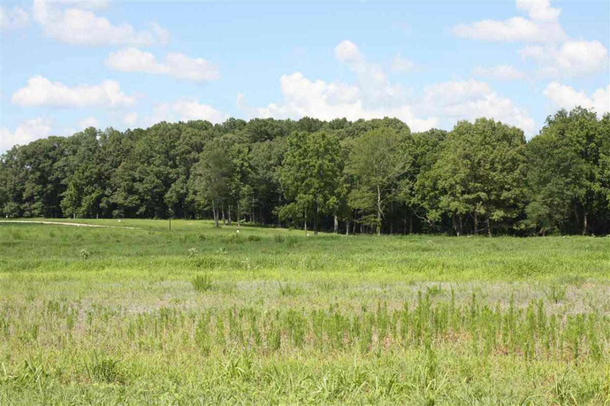 STONEHAVEN DRIVE. LOT #23, HENDERSON, TN 38340, photo 1 of 5