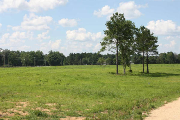 STONEHAVEN DRIVE. LOT #23, HENDERSON, TN 38340, photo 2 of 5