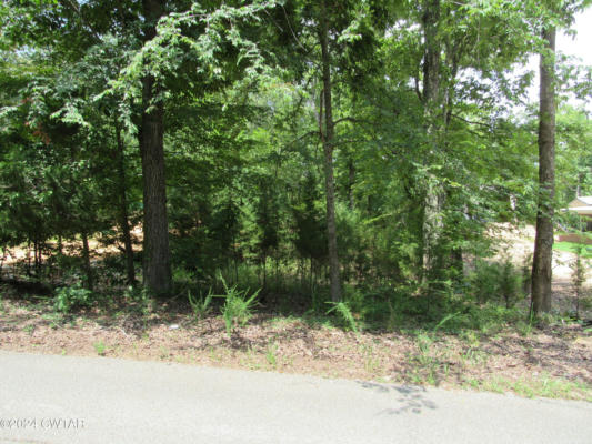 0 BROWN BLUFF LANE, SUGAR TREE, TN 38380 - Image 1