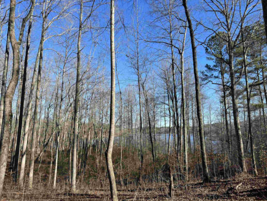 0 EXCALIBUR TRAIL (LOT 237), CEDAR GROVE, TN 38321, photo 3 of 12