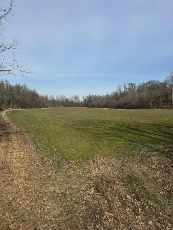 00 OLDS RD ROAD, HALLS, TN 38040, photo 1 of 17