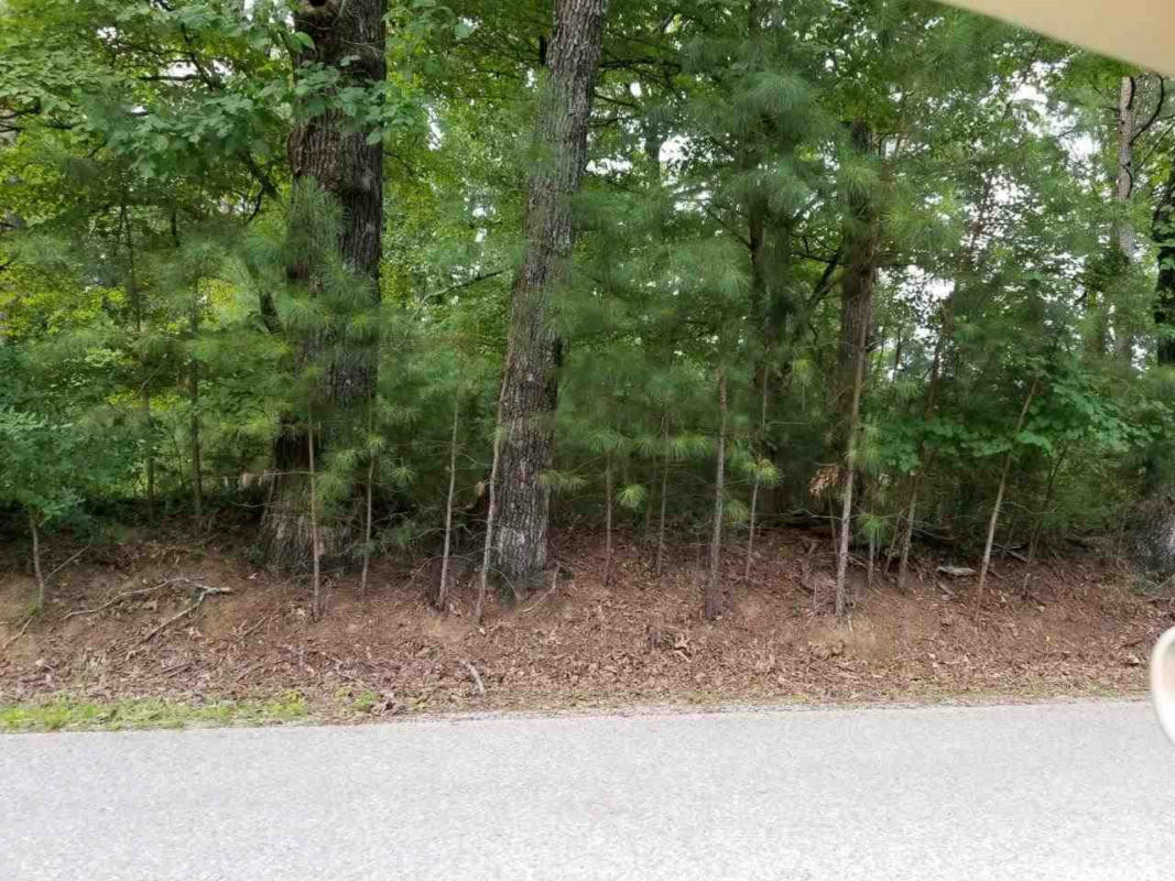 229 PARKBURG RD LOT 1, JACKSON, TN 38301, photo 1