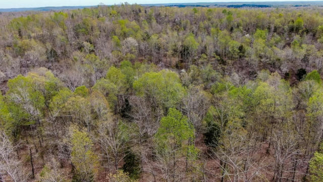 000 FIRE TOWER ROAD, PARSONS, TN 38363, photo 5 of 6