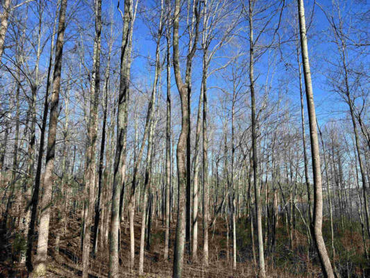 0 EXCALIBUR TRAIL (LOT 237), CEDAR GROVE, TN 38321, photo 4 of 12