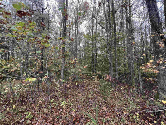 0 EXCALIBUR TRAIL (LOT 261), CEDAR GROVE, TN 38321, photo 3 of 11