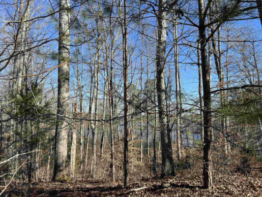 0 EXCALIBUR TRAIL (LOT 237), CEDAR GROVE, TN 38321, photo 2 of 12